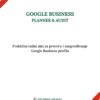 Google Business Planner & Audit