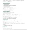 Google Business Planner & Audit